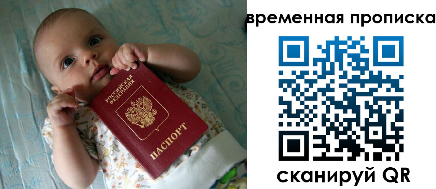 найти адрес прописки в Вязьме