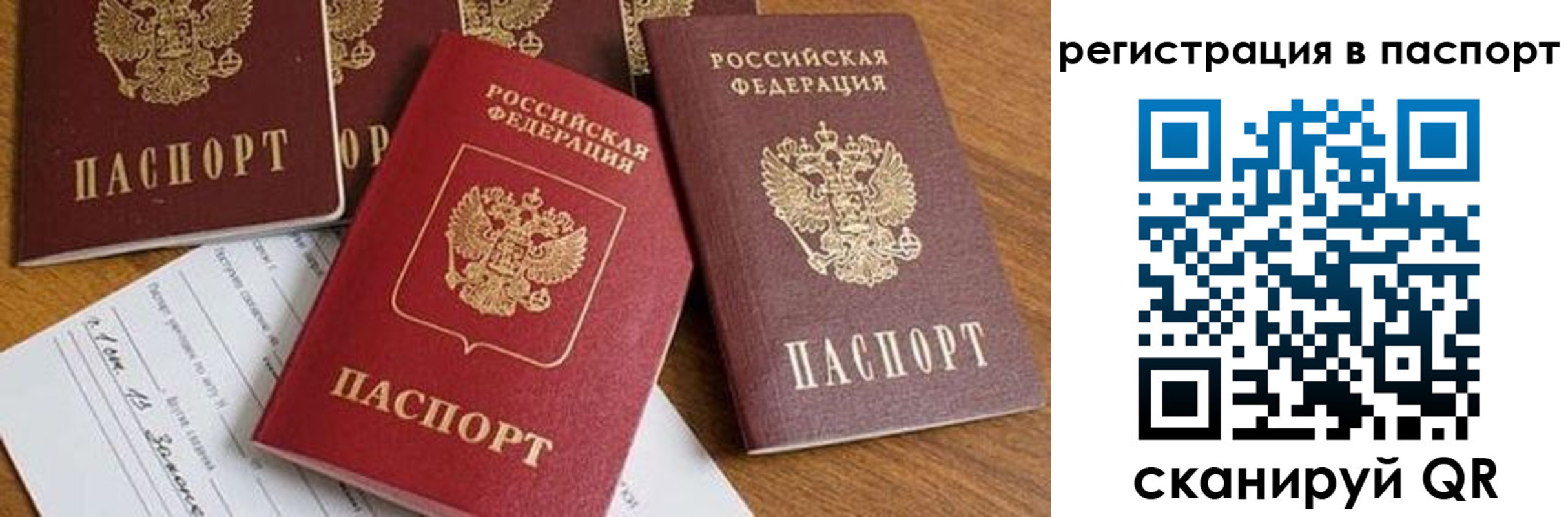 прописка в Вязьме